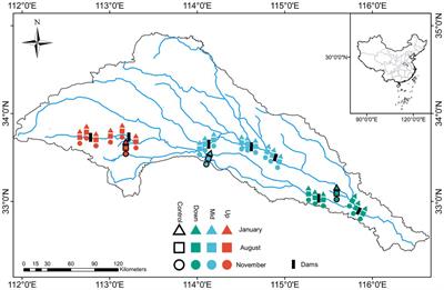 Cascade dams altered taxonomic and functional composition of bacterioplankton community at the regional scale